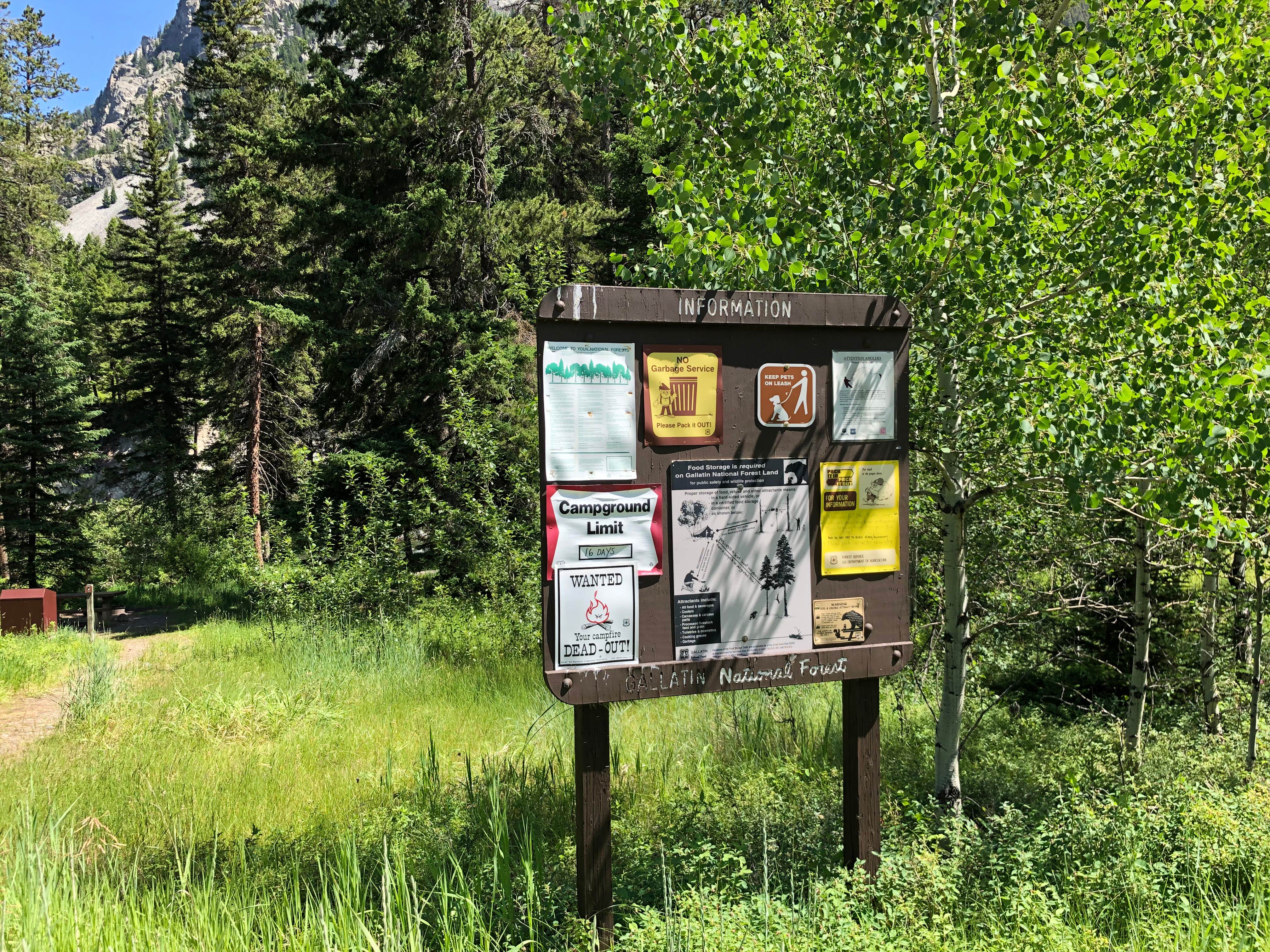 Camper-submitted photo at Falls Creek near Livingston, MT