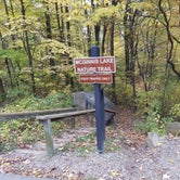 Review photo of McGinnis Lake Modern Campground — Holly Recreation Area by Jennifer H., October 27, 2019