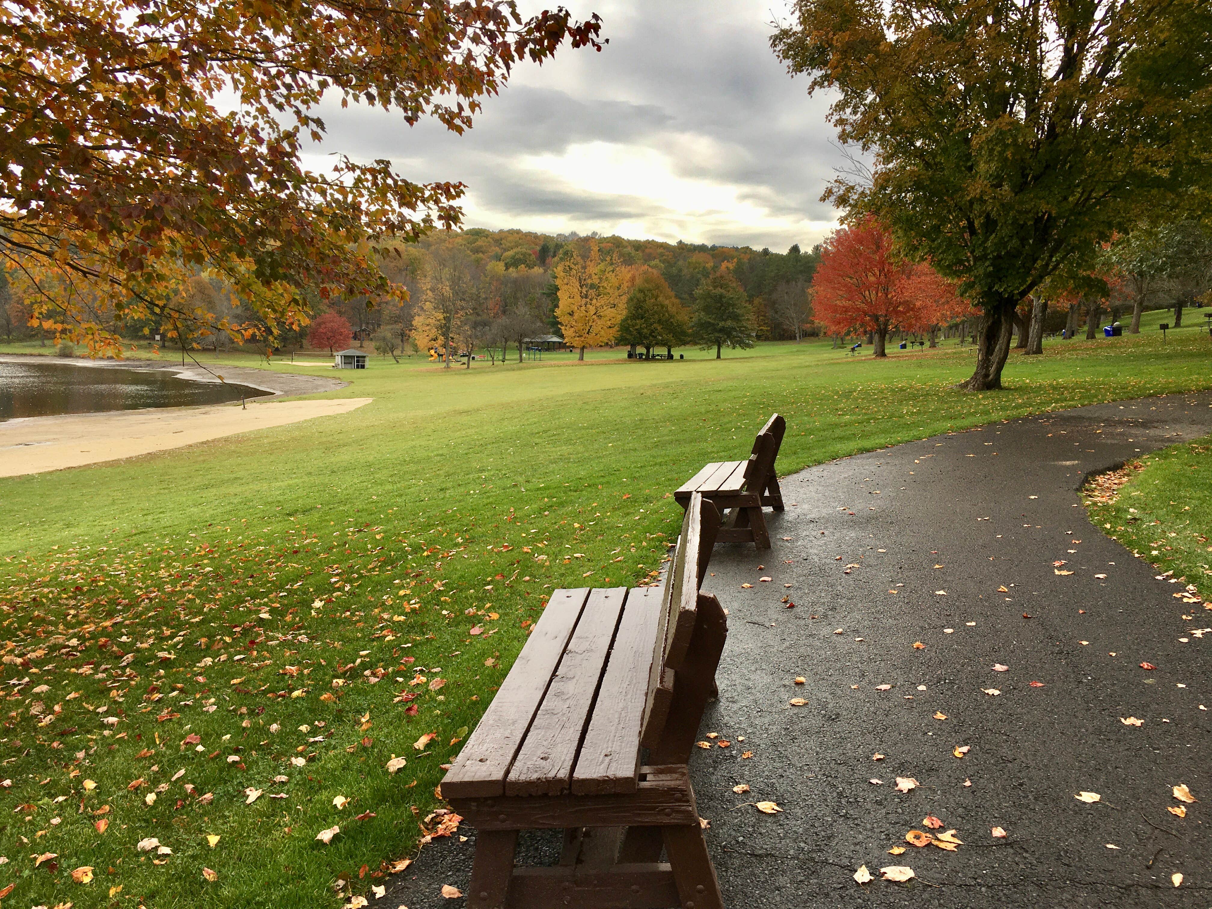 Camper submitted image from Greenwood County Park - 4