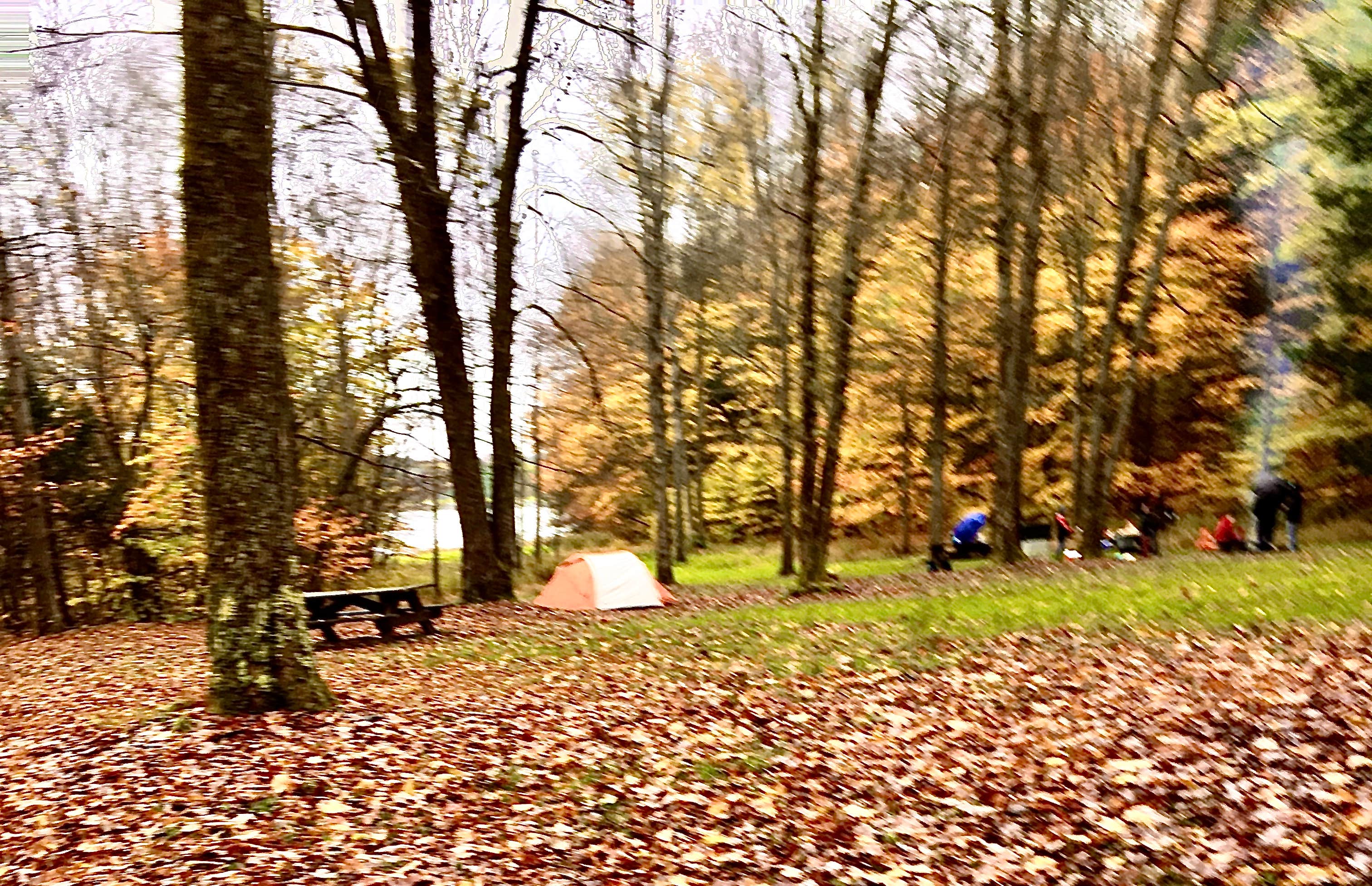 Janet R.'s photo at Greenwood County Park near Killawog, NY