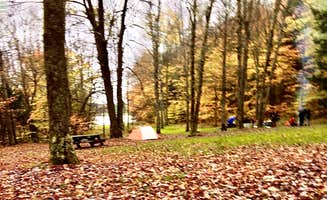 Janet R.'s photo at Greenwood County Park near Chenango Forks, NY