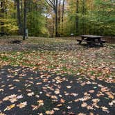 Review photo of Greenwood County Park by Janet R., October 27, 2019
