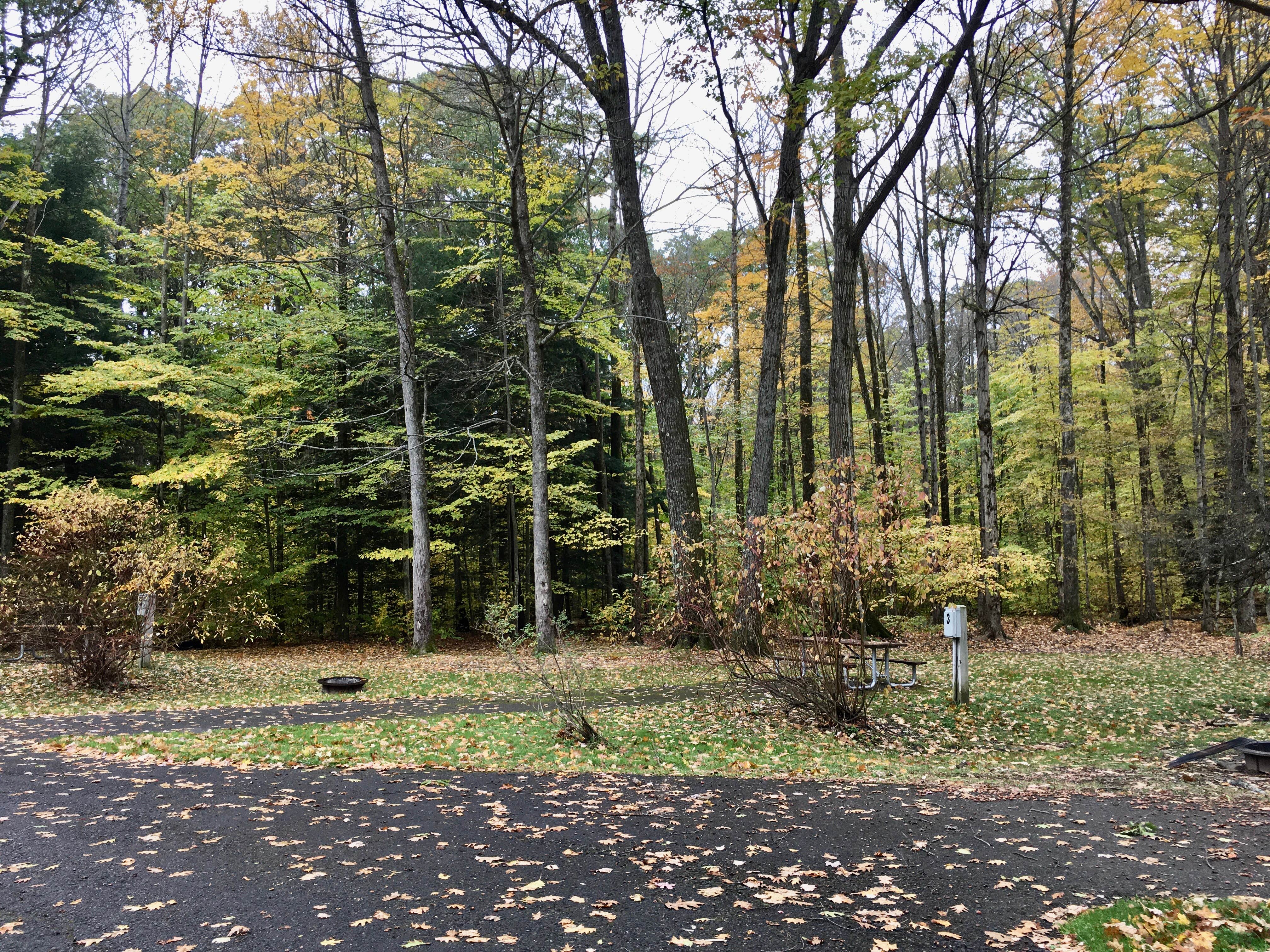 Camper-submitted photo at Greenwood County Park near Killawog, NY