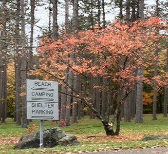 Camper-submitted photo from Pine Cradle Lake Family Campground
