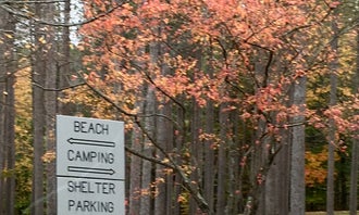 Camping near Pine Valley RV Park & Campground: Greenwood County Park, Berkshire, New York