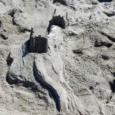 Review photo of Beverly Beach State Park Campground by Kris S., August 17, 2017