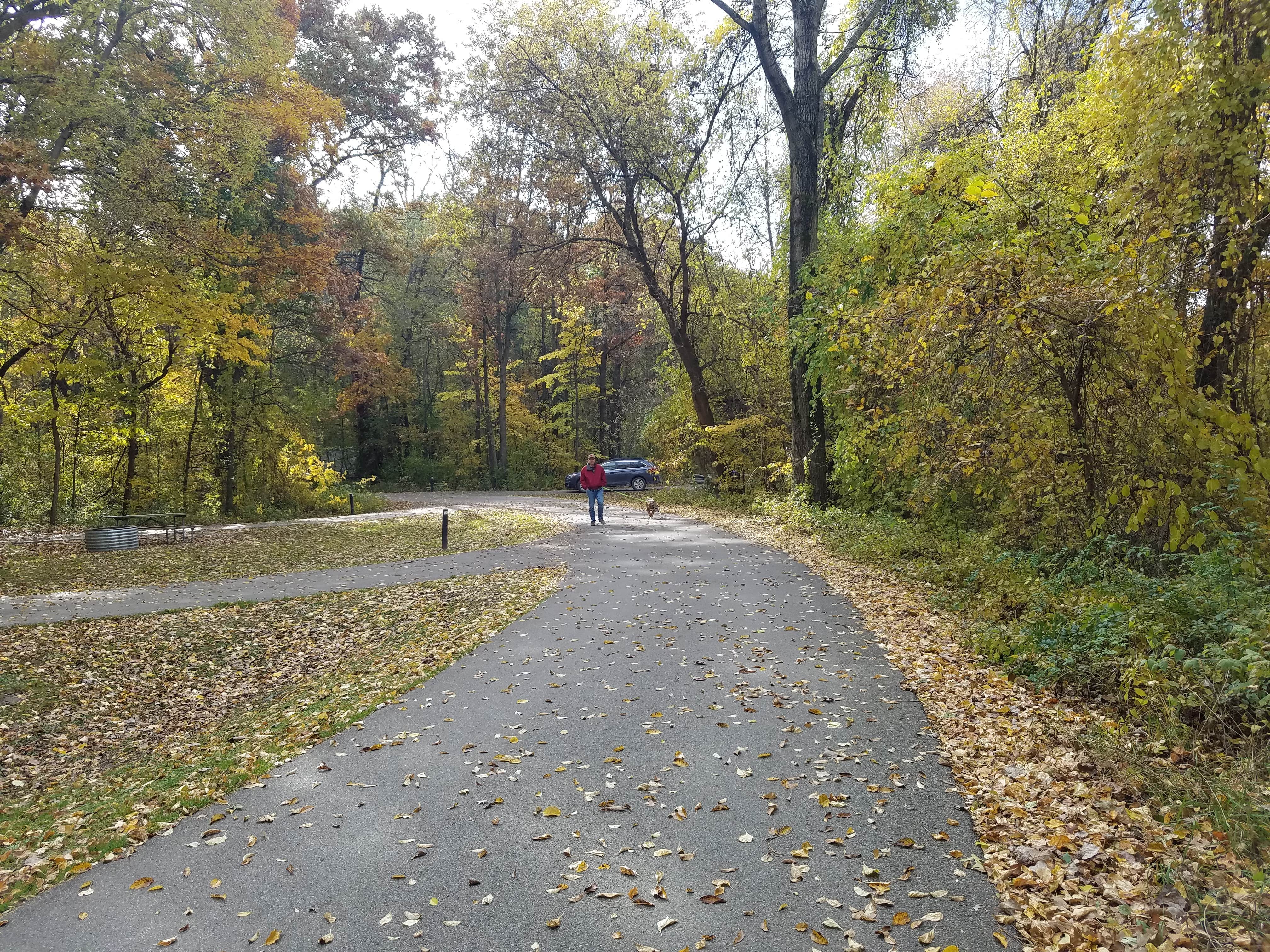 Camper-submitted photo at McGinnis Lake Modern Campground — Holly Recreation Area near Flint, MI