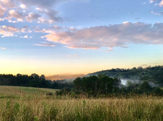 Janet R.'s photo of a dispersed camping area at Whaupaunaucau State Forest near Syracuse, NY