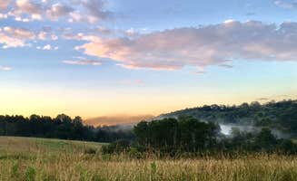 Janet R.'s photo of a dispersed camping area at Whaupaunaucau State Forest near Cherry Valley, NY