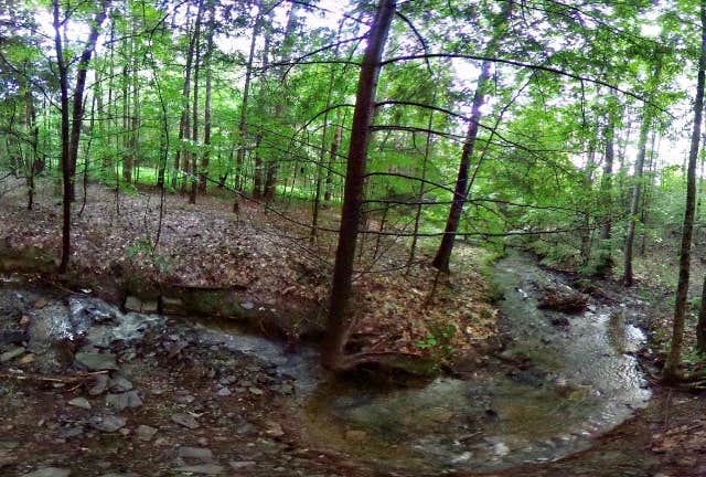 Camper-submitted photo at Whaupaunaucau State Forest near Hubbardsville, NY