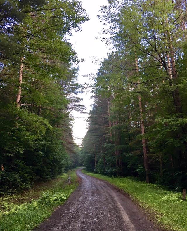 Camper-submitted photo at Whaupaunaucau State Forest near Georgetown, NY