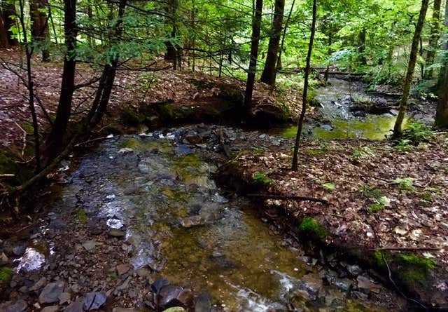 Camper-submitted photo at Whaupaunaucau State Forest near Georgetown, NY