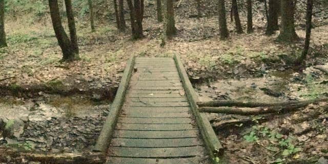 Camper submitted image from Whaupaunaucau State Forest