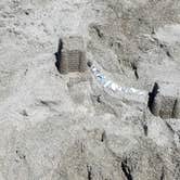 Review photo of Beverly Beach State Park Campground by Kris S., August 17, 2017