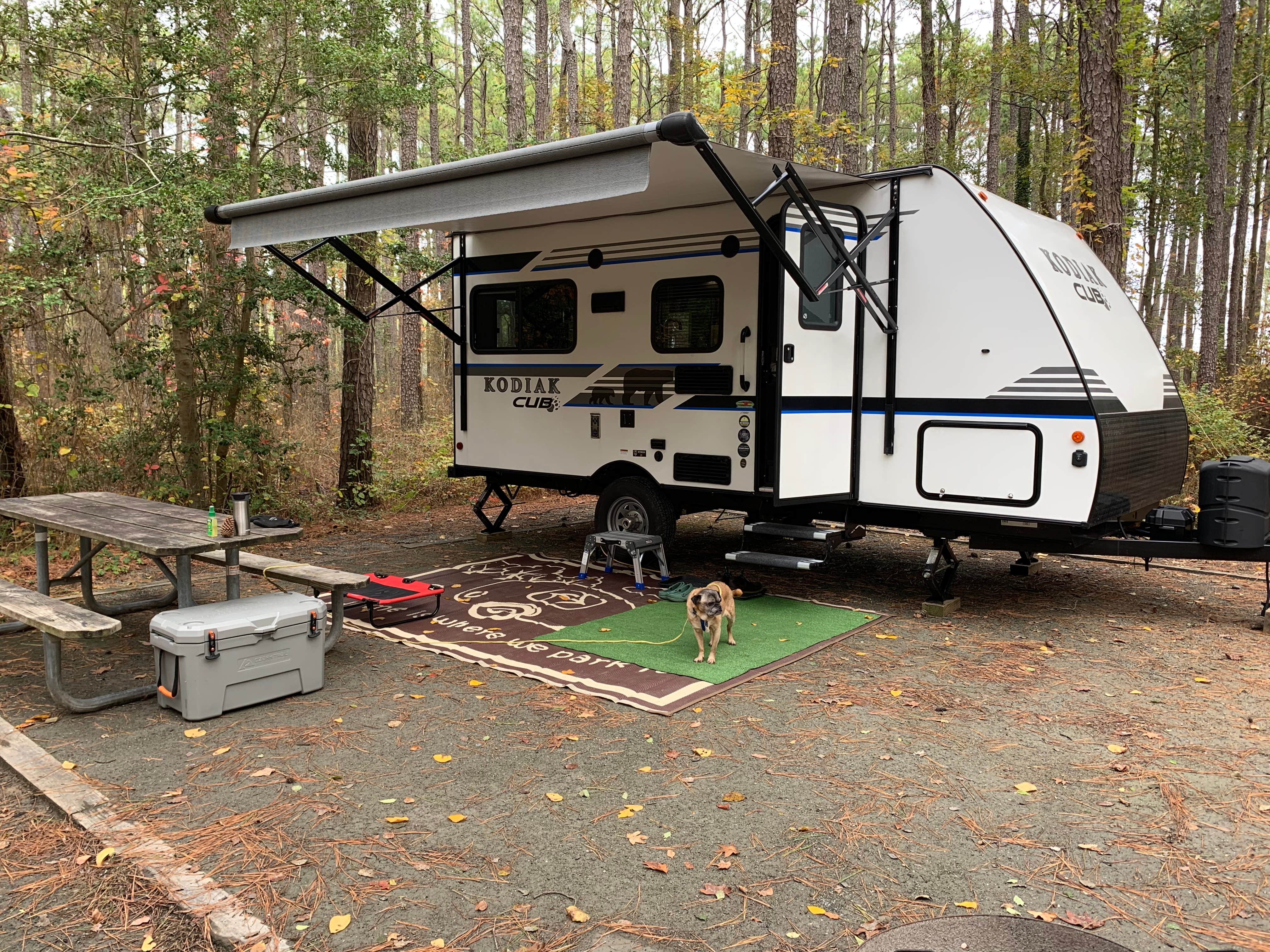 Laure D.'s photo of rv camping at Point Lookout State Park - Temporarily Closed near Dowell, MD