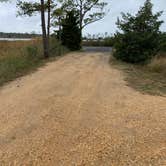 Review photo of Point Lookout State Park - Temporarily Closed by Laure D., October 28, 2019