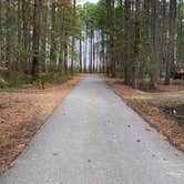 Review photo of Point Lookout State Park - Temporarily Closed by Laure D., October 28, 2019