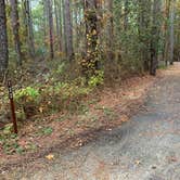 Review photo of Point Lookout State Park - Temporarily Closed by Laure D., October 28, 2019