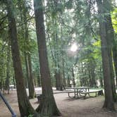 Review photo of Springy Point by Kris S., August 17, 2017