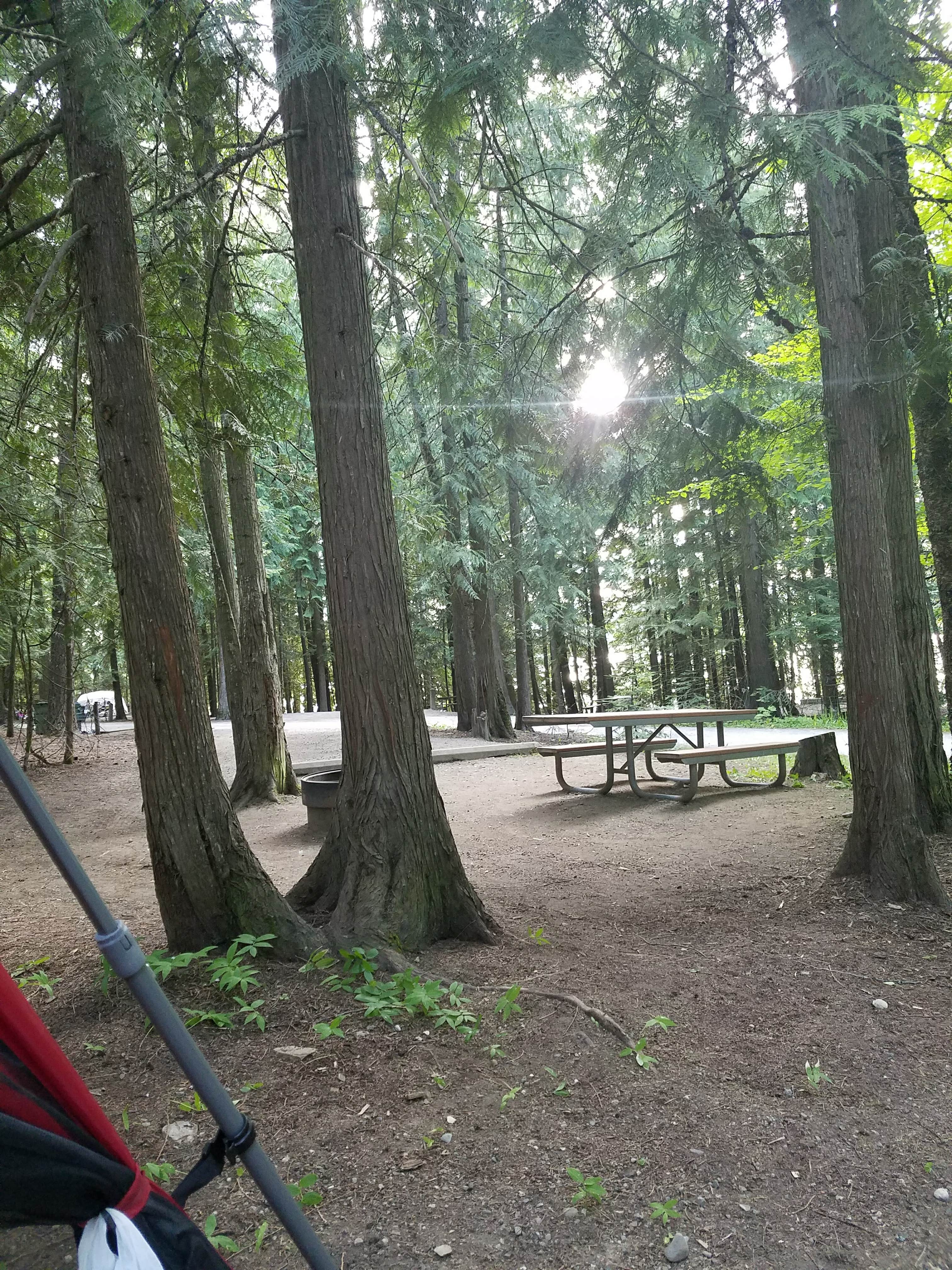 Camper submitted image from Springy Point - 2