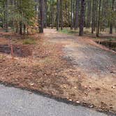 Review photo of Point Lookout State Park - Temporarily Closed by Laure D., October 28, 2019