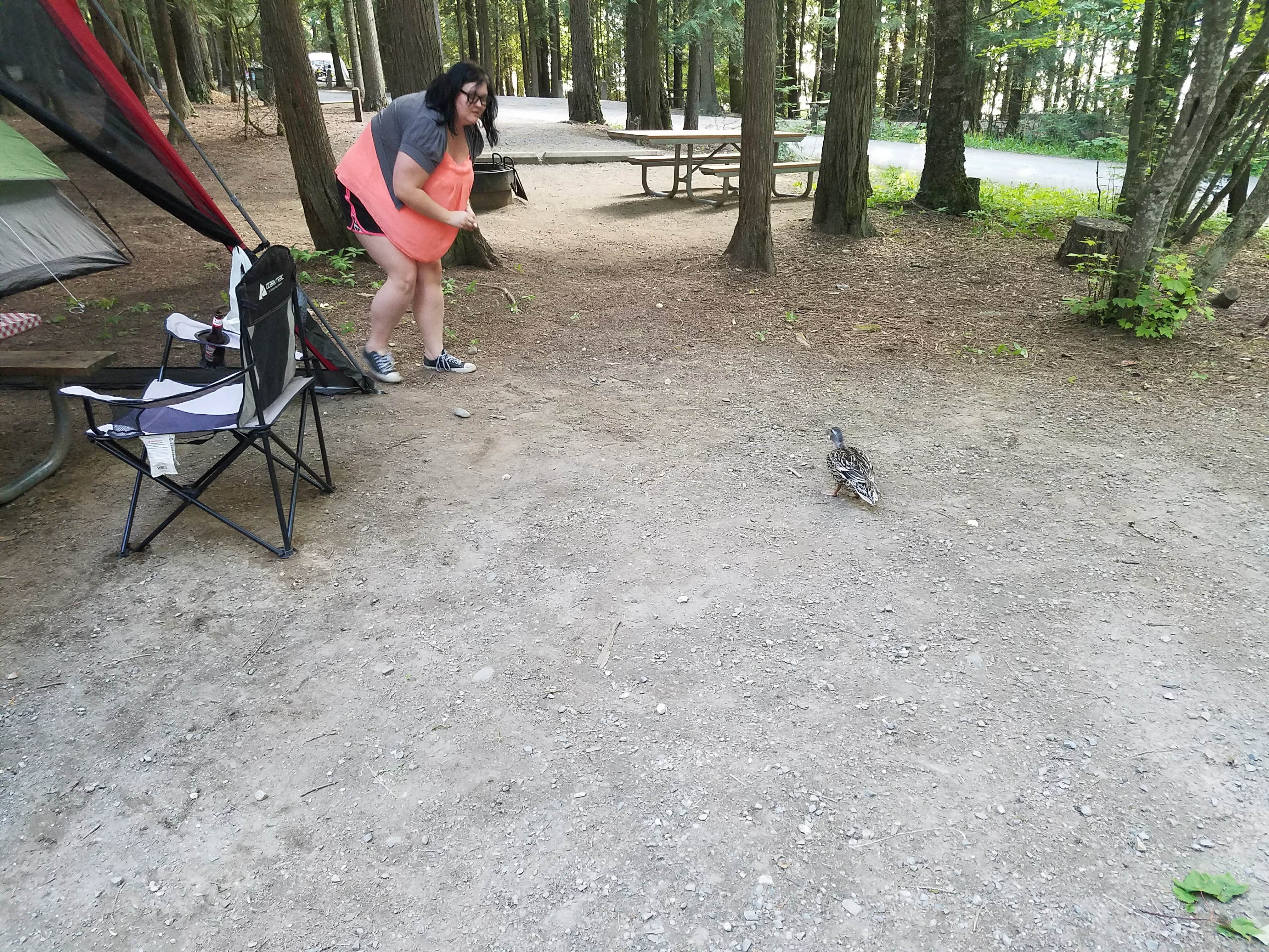Camper submitted image from Springy Point - 5