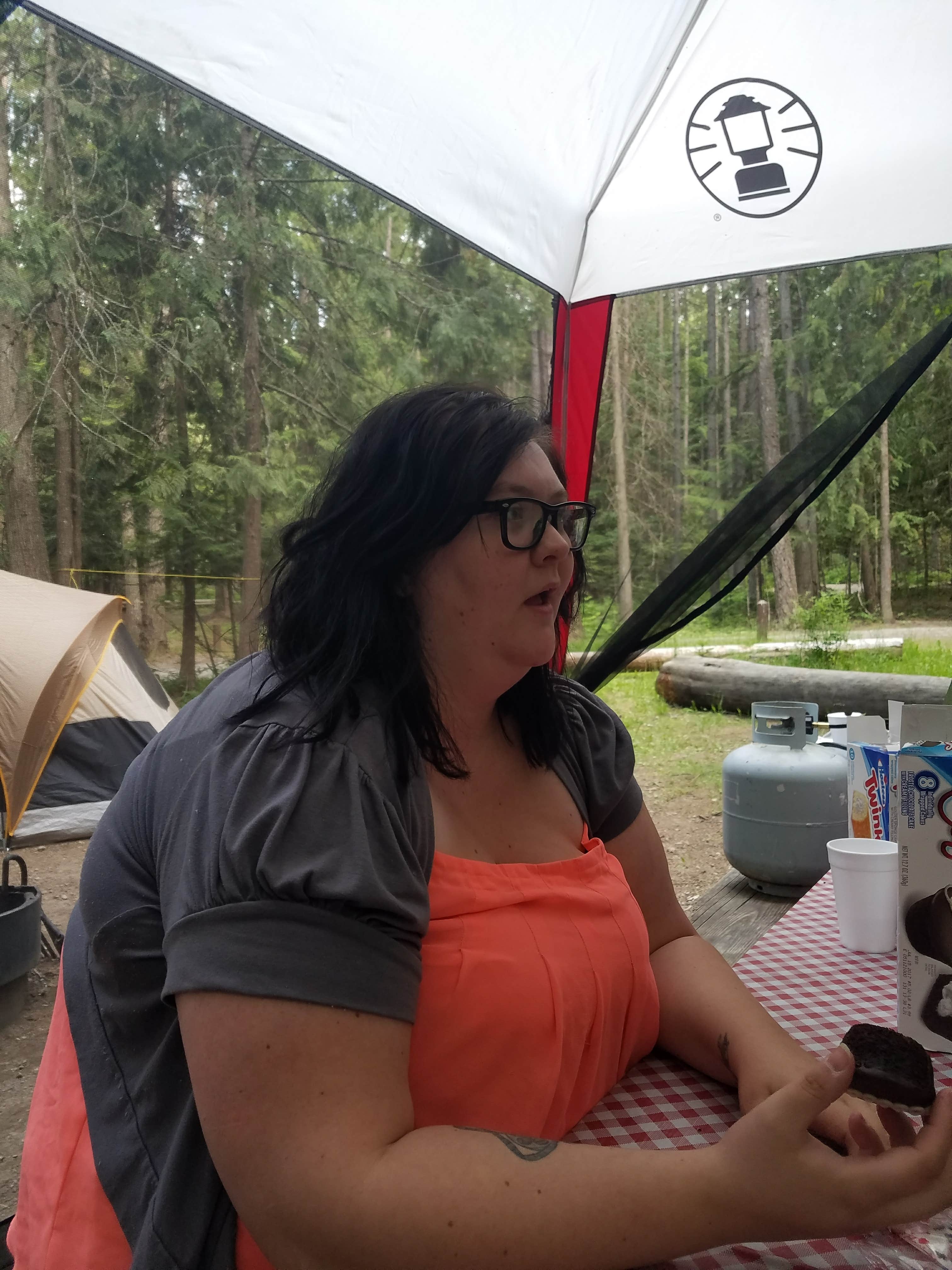 Camper submitted image from Springy Point - 3