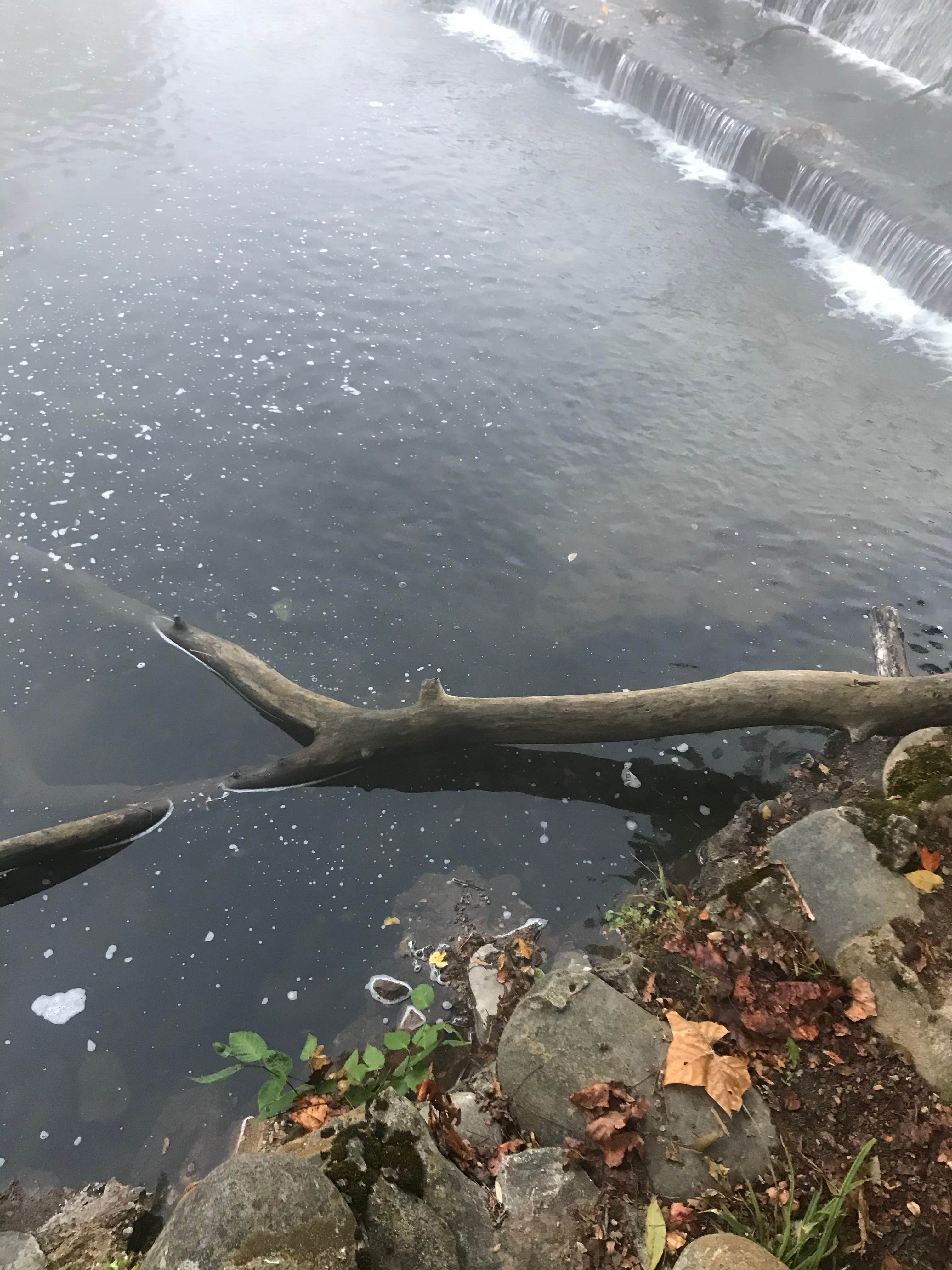 Camper-submitted photo at Riverstone Campground near Greenback, TN