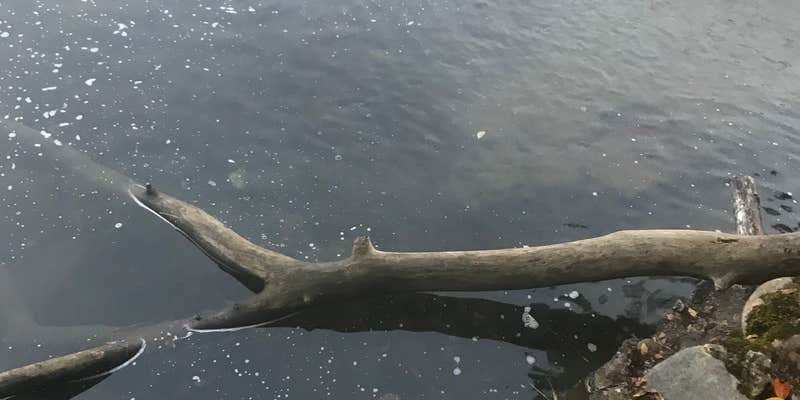 Camper submitted image from Riverstone Campground