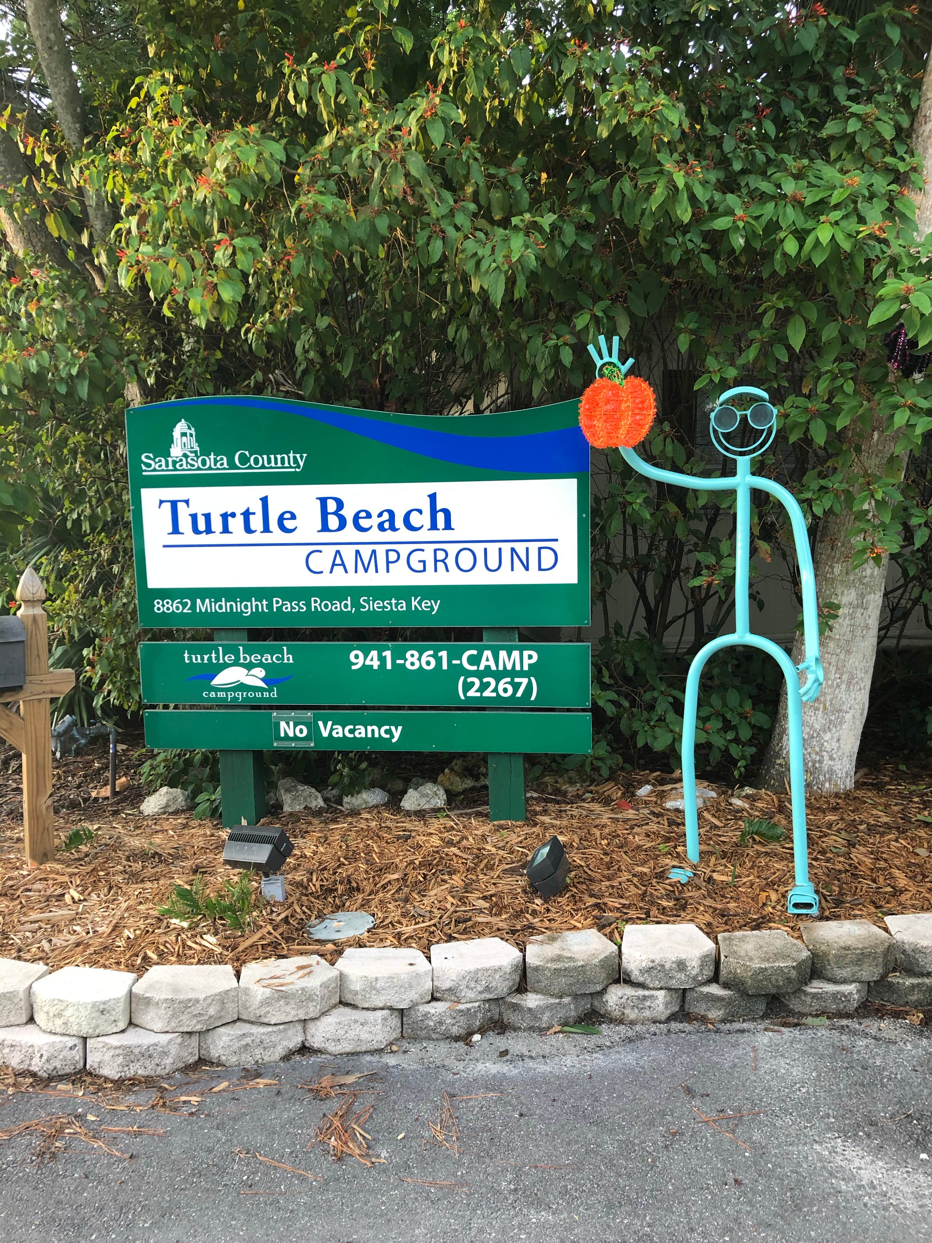 Camper submitted image from Turtle Beach Campground - 4