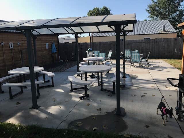 Shannon G.'s photo of camping with pets at Sleepy Sunflower RV and Campground in Nebraska