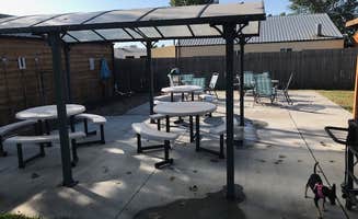 Shannon G.'s photo of camping with pets at Sleepy Sunflower RV and Campground in Nebraska