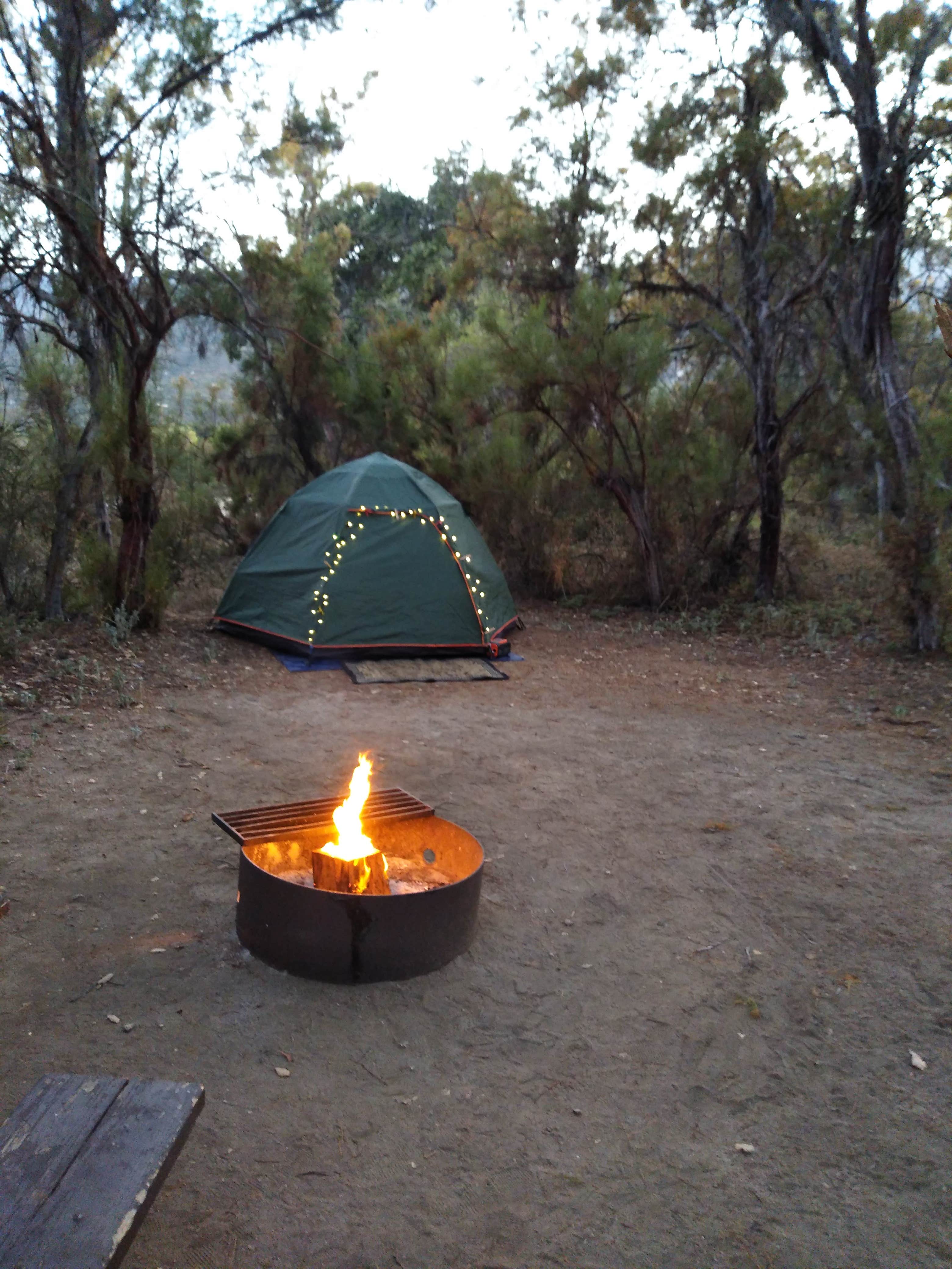 Paula A.'s photo at Oak Grove Campground near Aguanga, CA