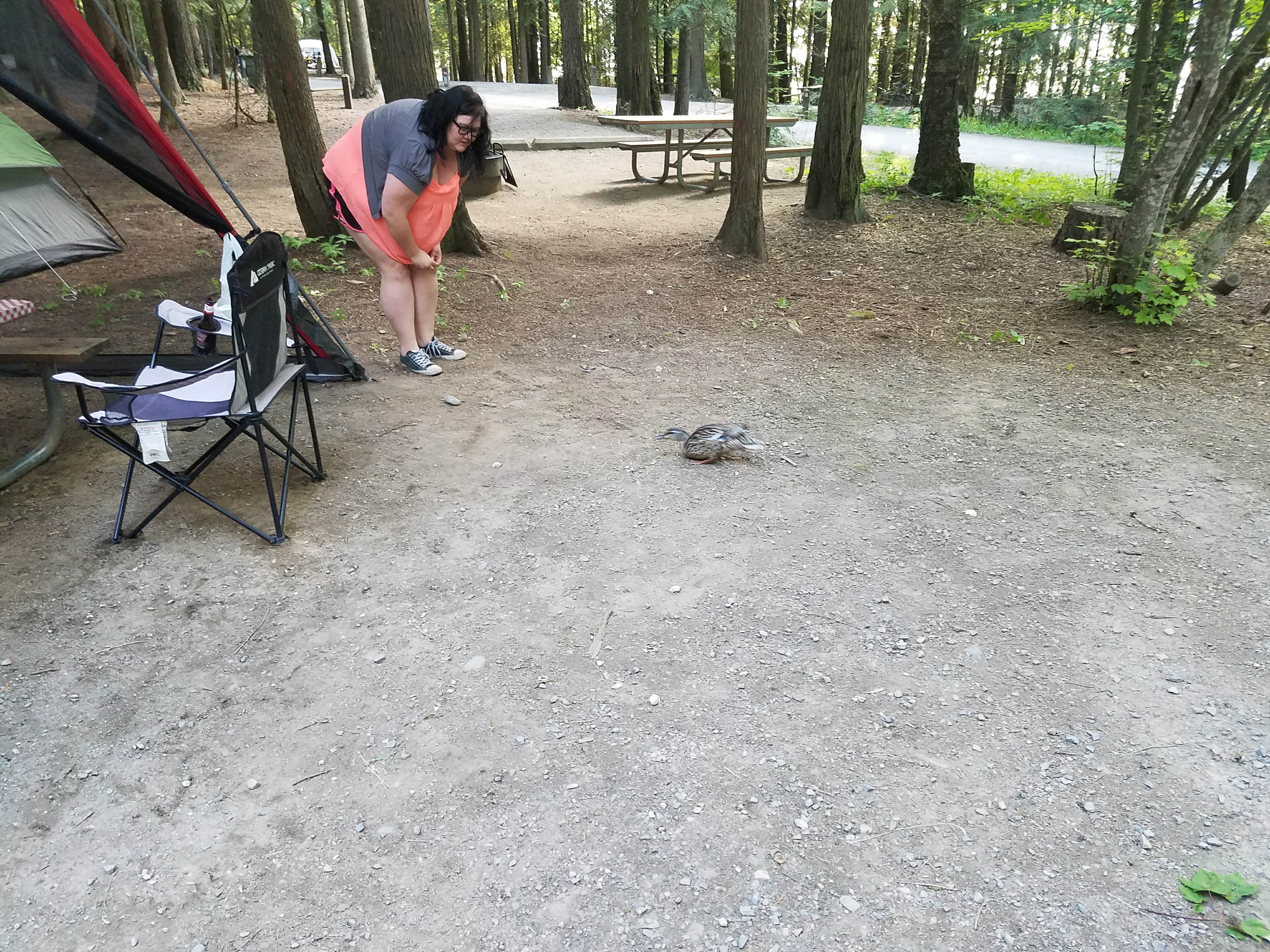 Kris S.'s photo at Springy Point near Lake Pend Oreille