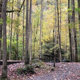 Review photo of Big Creek Campground — Great Smoky Mountains National Park by Glynne E., October 29, 2019