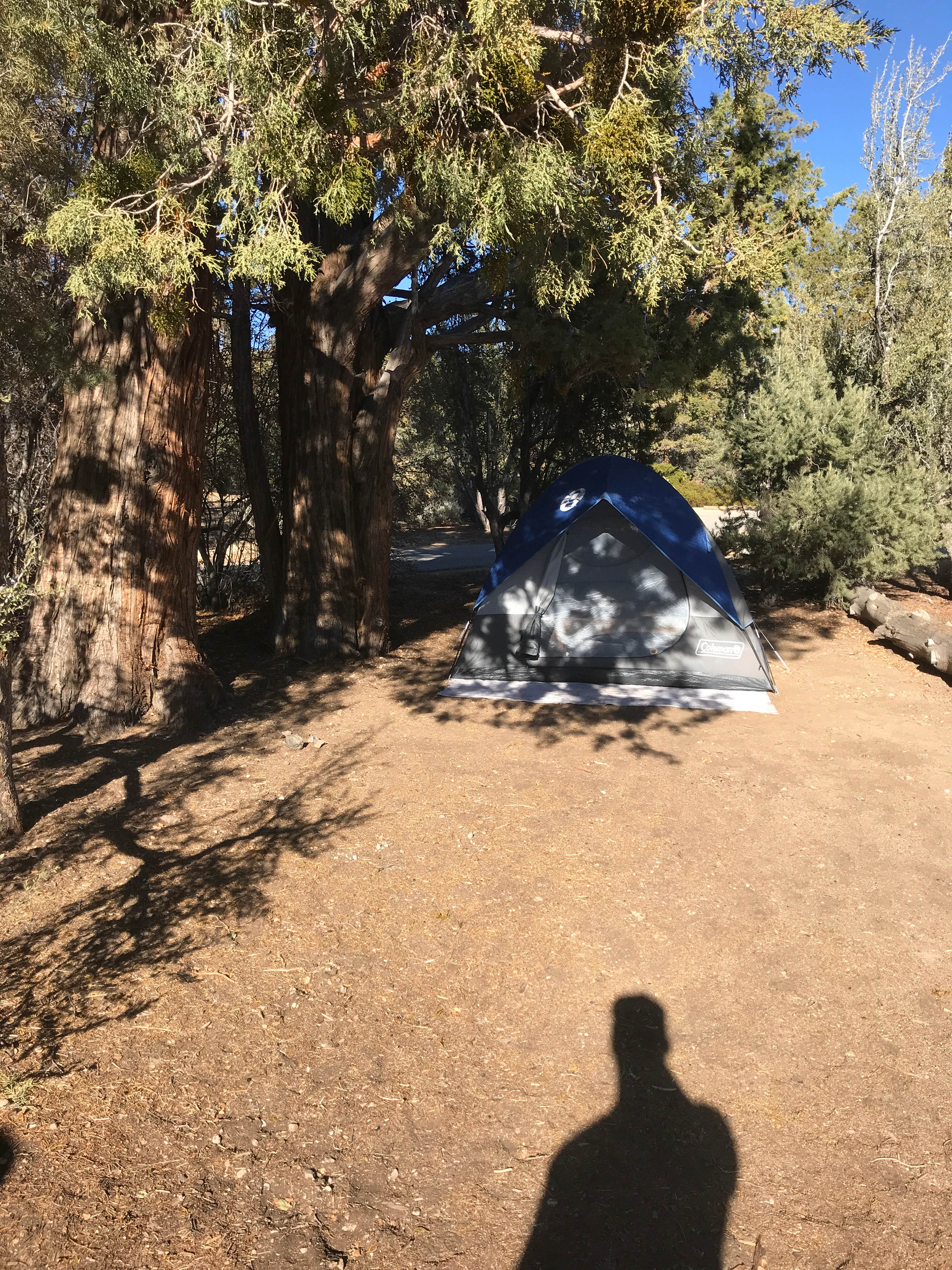 Greg P.'s photo at Serrano near Big Bear Lake, CA