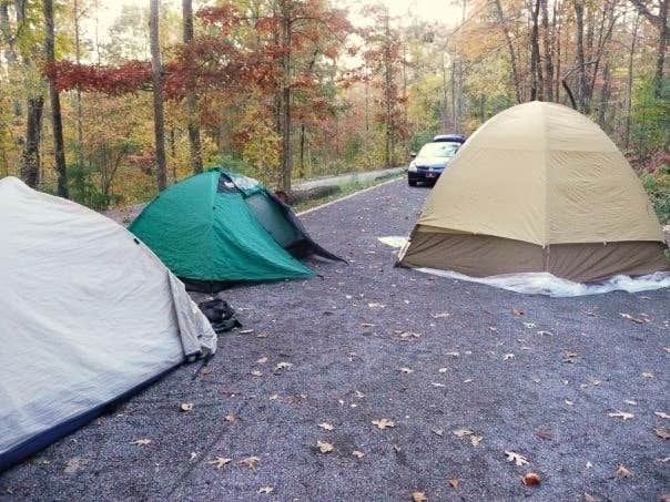 Camper submitted image from Chilhowee Recreation Area - 5