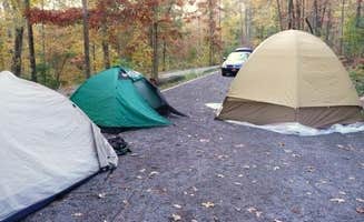 Brittany S.'s photo at Chilhowee Recreation Area near Delano, TN