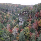 Review photo of Fall Creek Falls State Park Campground by Justin L., October 29, 2019