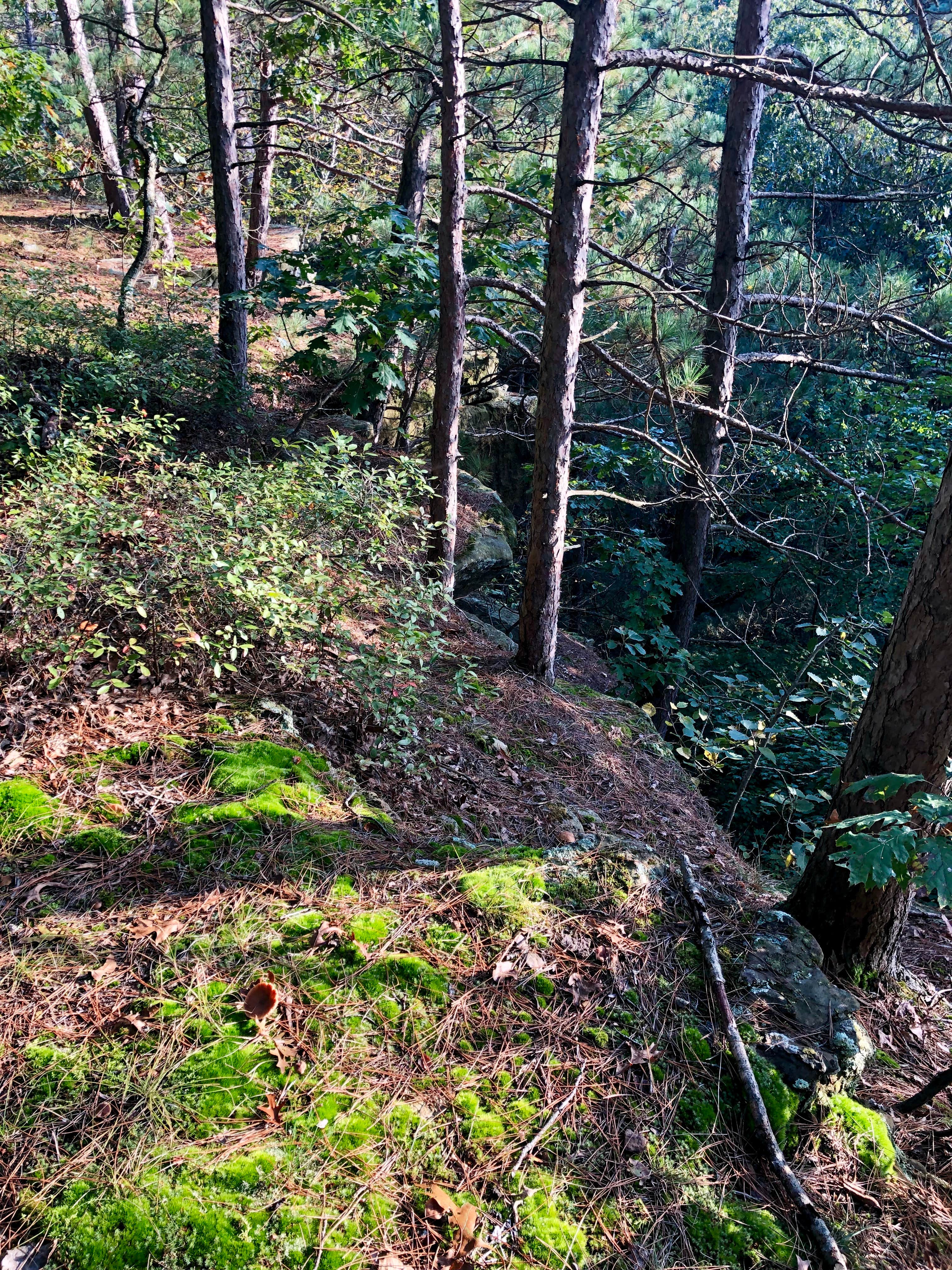 Camper-submitted photo at Cox Hollow Campground — Governor Dodge State Park near Lena, IL