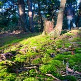 Review photo of Cox Hollow Campground — Governor Dodge State Park by Siobhan R., October 29, 2019