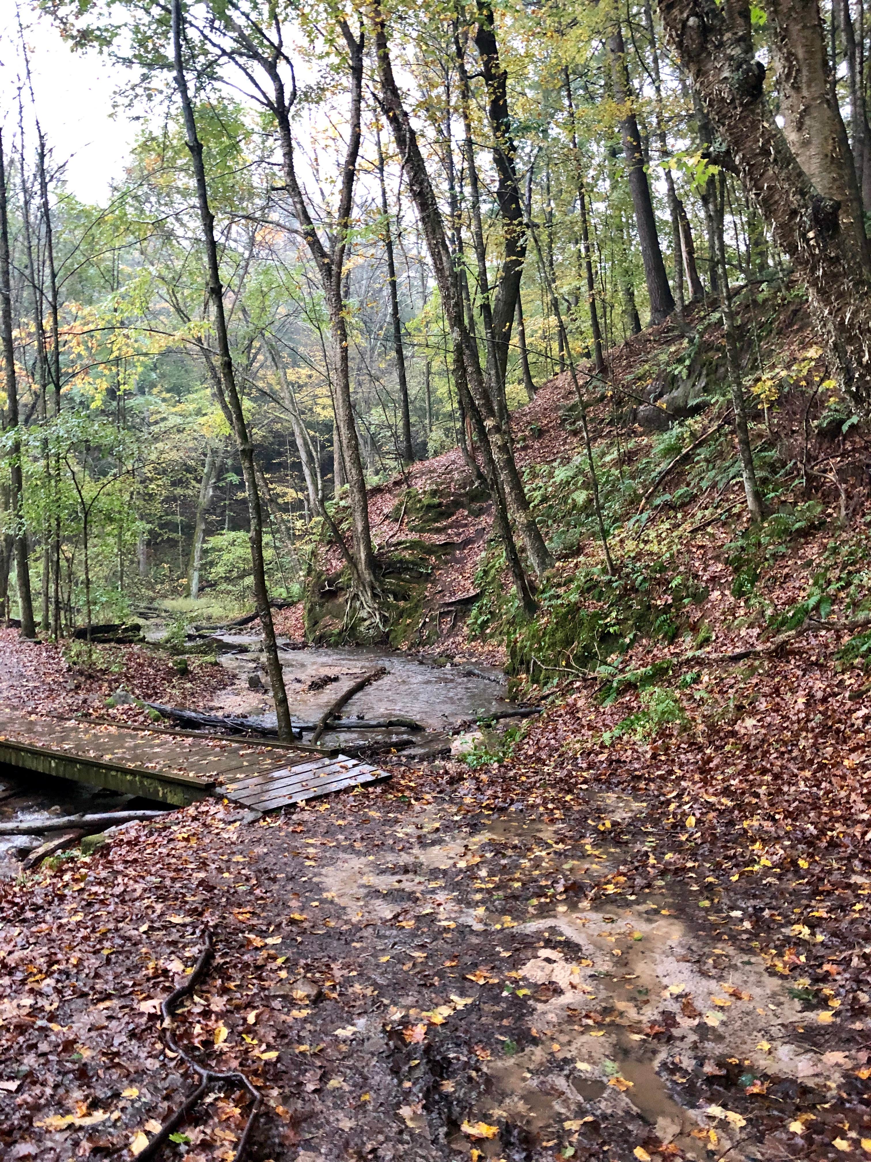 Camper-submitted photo at Cox Hollow Campground — Governor Dodge State Park near Lena, IL