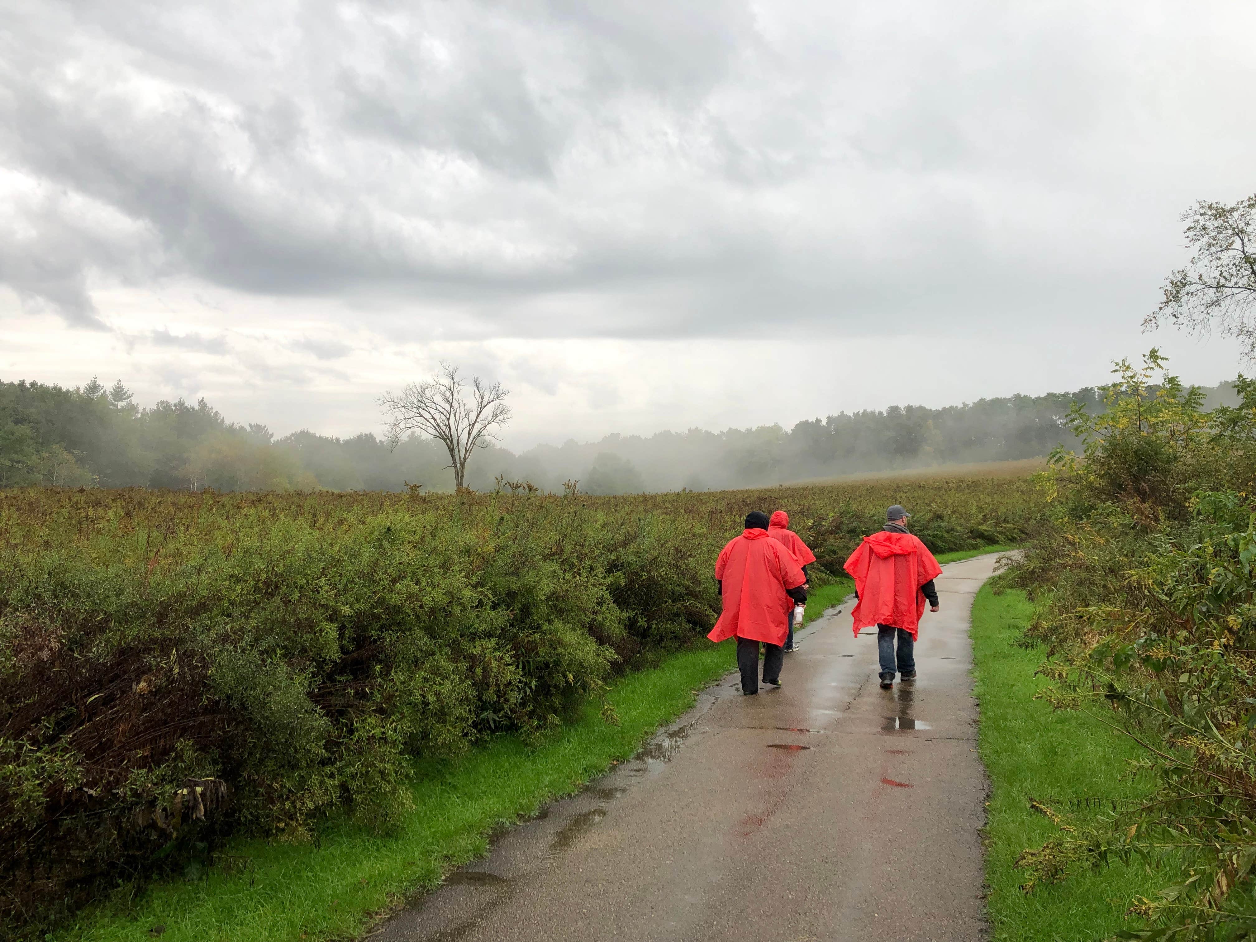 Camper-submitted photo at Cox Hollow Campground — Governor Dodge State Park near Lena, IL