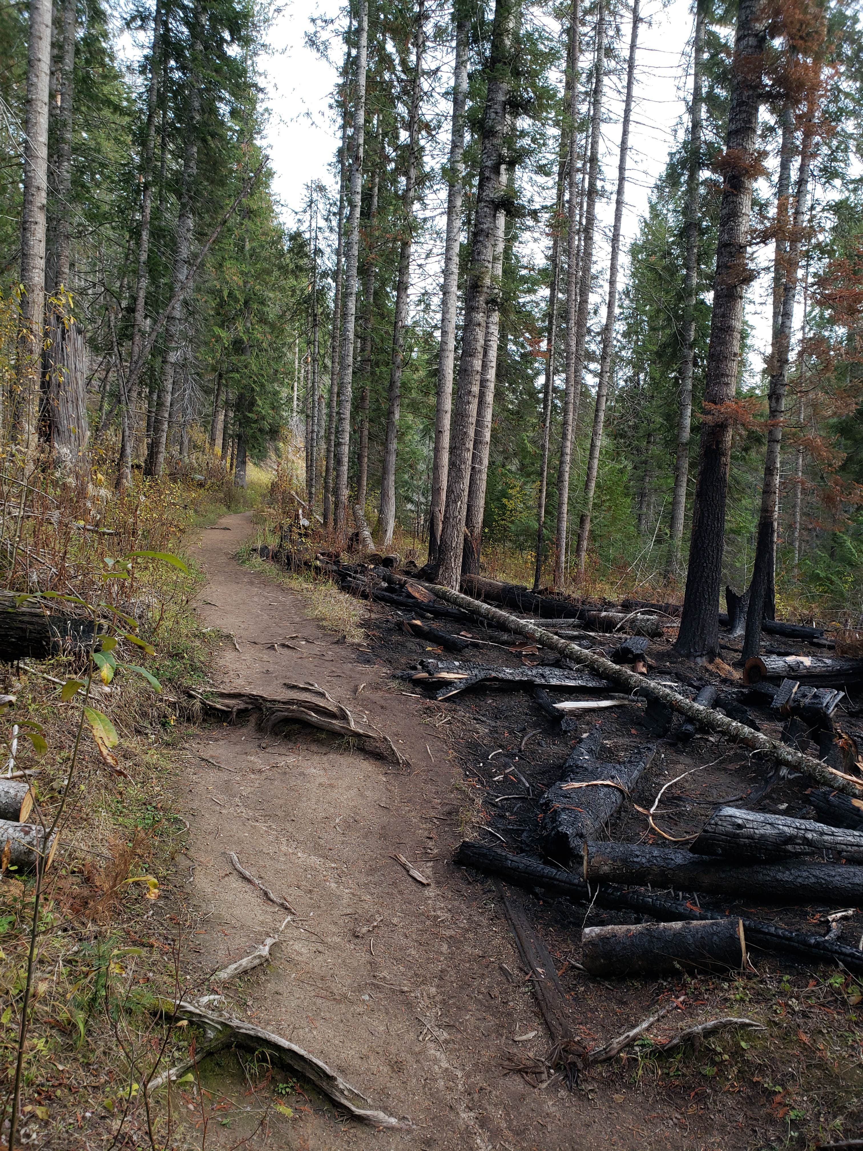 Camper submitted image from Jerry Johnson Campground - TEMPORARILY CLOSED - 1