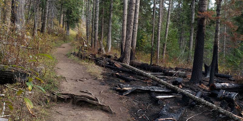 Camper submitted image from Jerry Johnson Campground - TEMPORARILY CLOSED