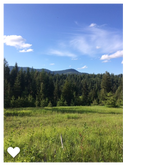 Review photo of Elk Creek Campground by Celine K., October 29, 2019