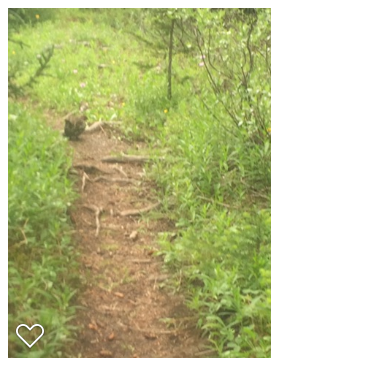 Camper submitted image from Elk Creek Campground - 3