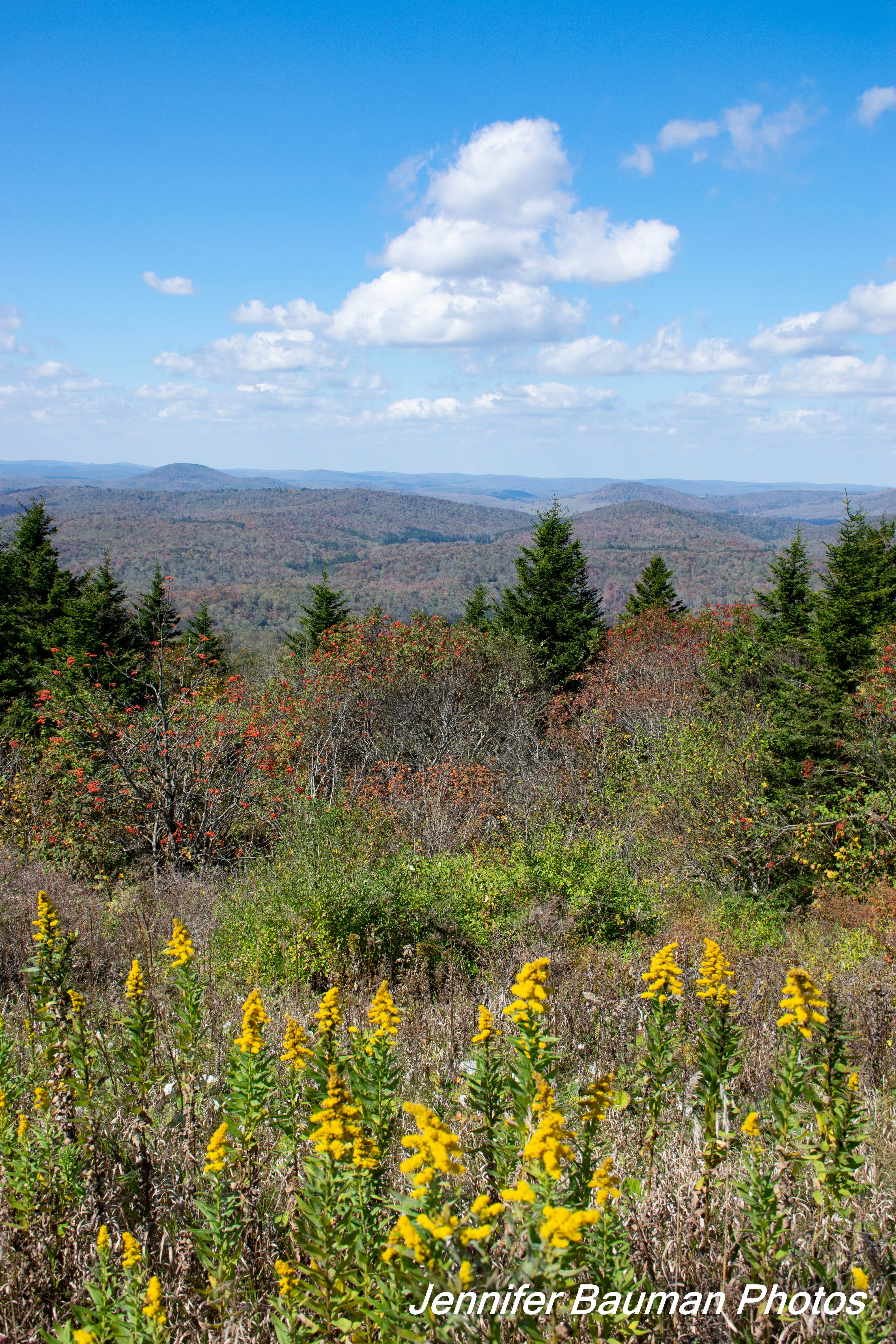 Spruce Knob Lake The Dyrt