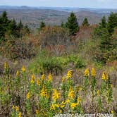 Review photo of Spruce Knob Lake Campground by Jennifer B., October 29, 2019