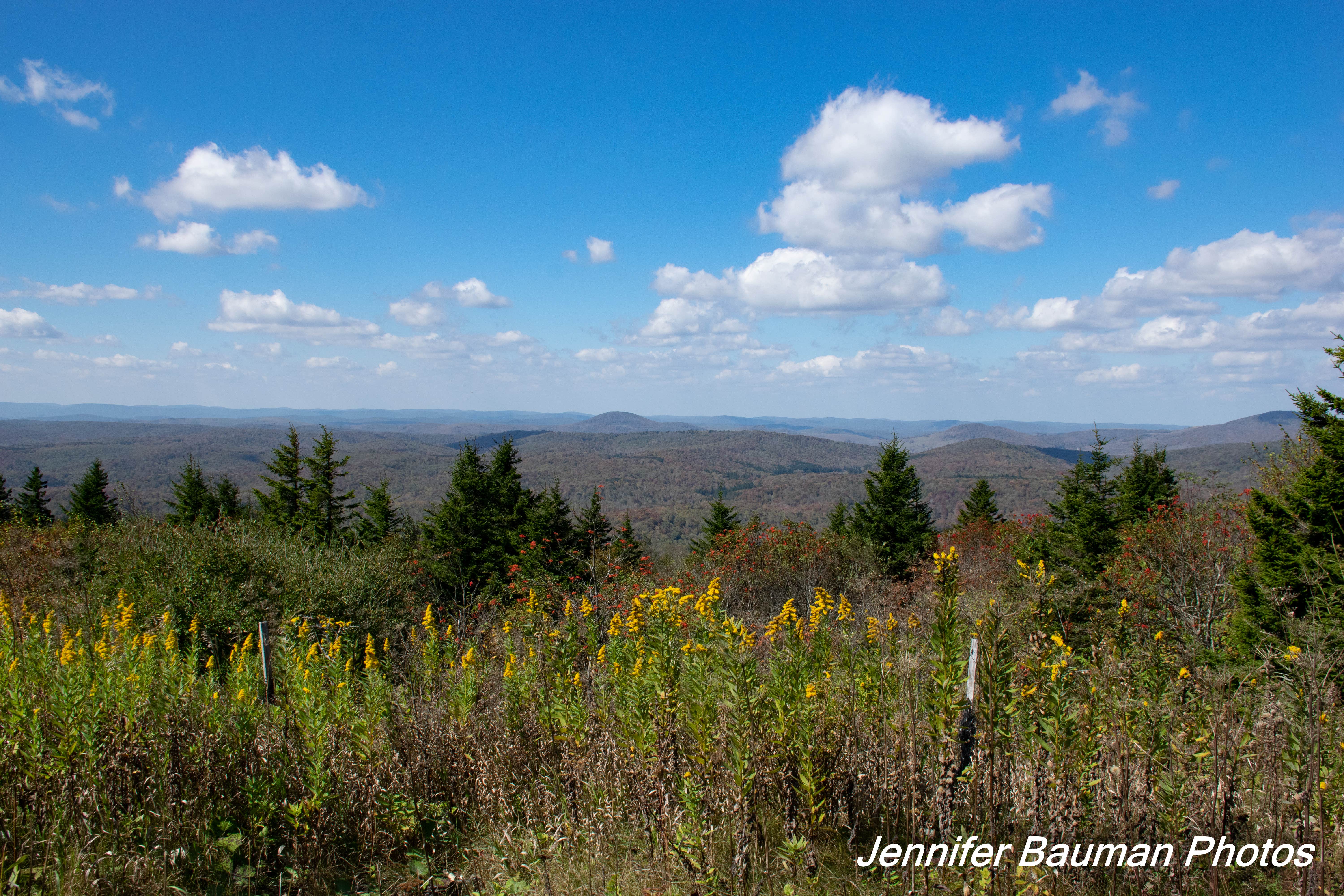Spruce Knob Lake The Dyrt